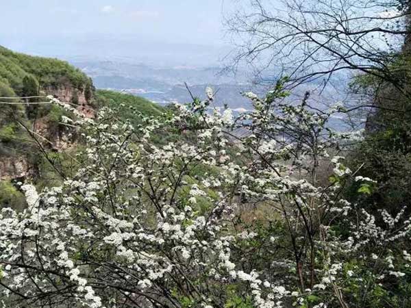 恒恩生物春游踏青游记-黛眉山